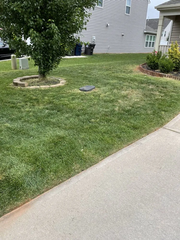 Top-rated landscape installation for outdoor upgrades in Lexington, NC by Peoples Lawn Service