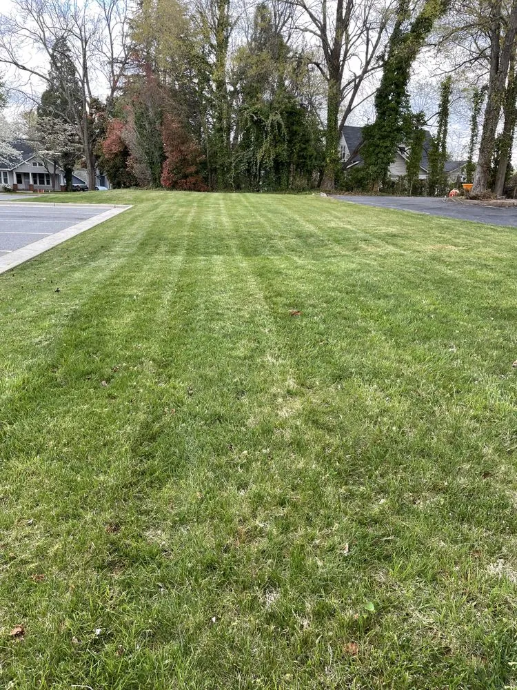 Reliable garden landscaping for beautiful yards across Lexington, NC - Peoples Lawn Service