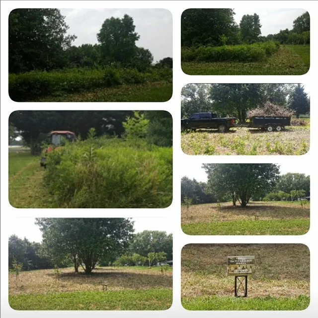 Trusted landscape installation in Easton, MD - Peoples Tractor And Bush Hog Services