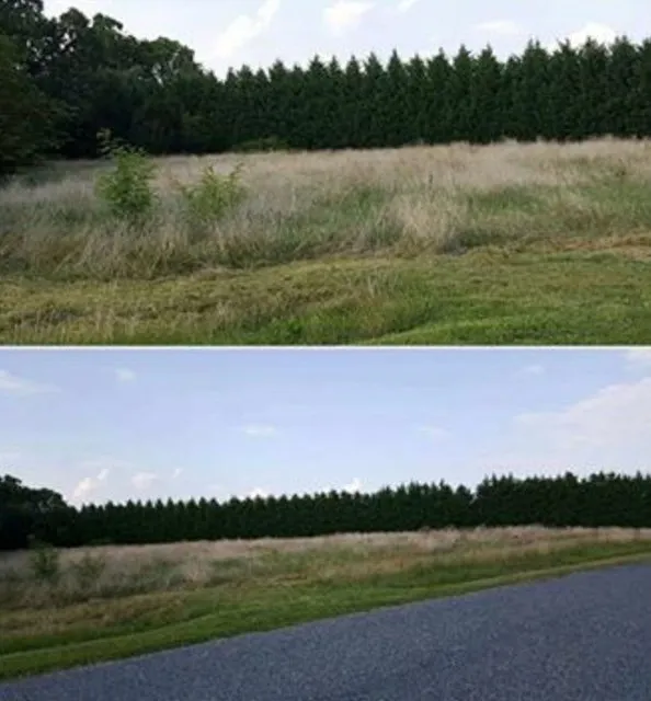 Local landscape design in Easton, MD by Peoples Tractor And Bush Hog Services