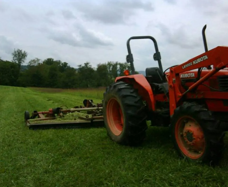 Trusted yard cleanup service for residential properties across Easton, MD - Peoples Tractor And Bush Hog Services