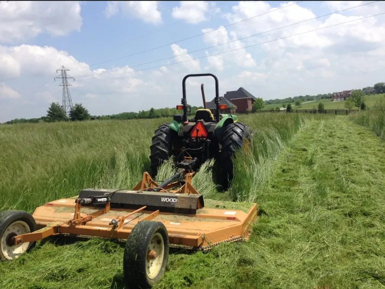 Expert yard cleanup service in Easton, MD - Peoples Tractor And Bush Hog Services