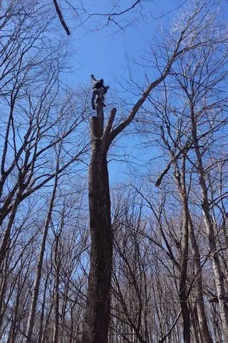 Professional outdoor landscaping in Bartonville, IL - Peoria Lawn