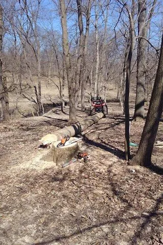 Affordable lawn mowing service in Bartonville, IL - Peoria Lawn