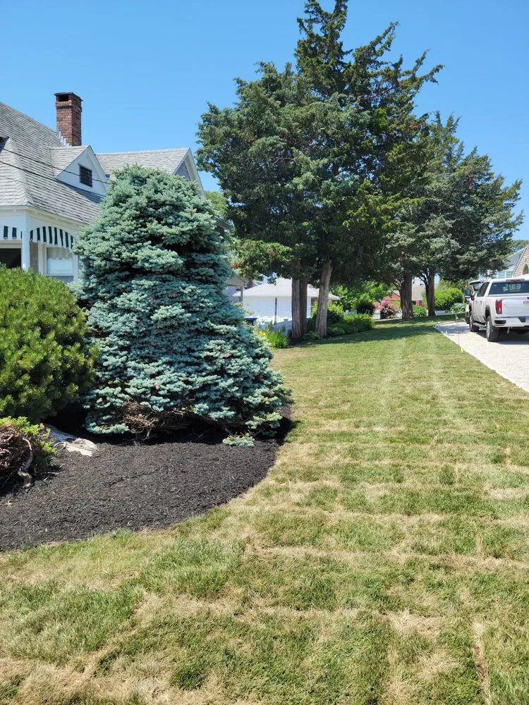Trusted yard maintenance in Norwich, CT by Pepas Hardscapes & Design