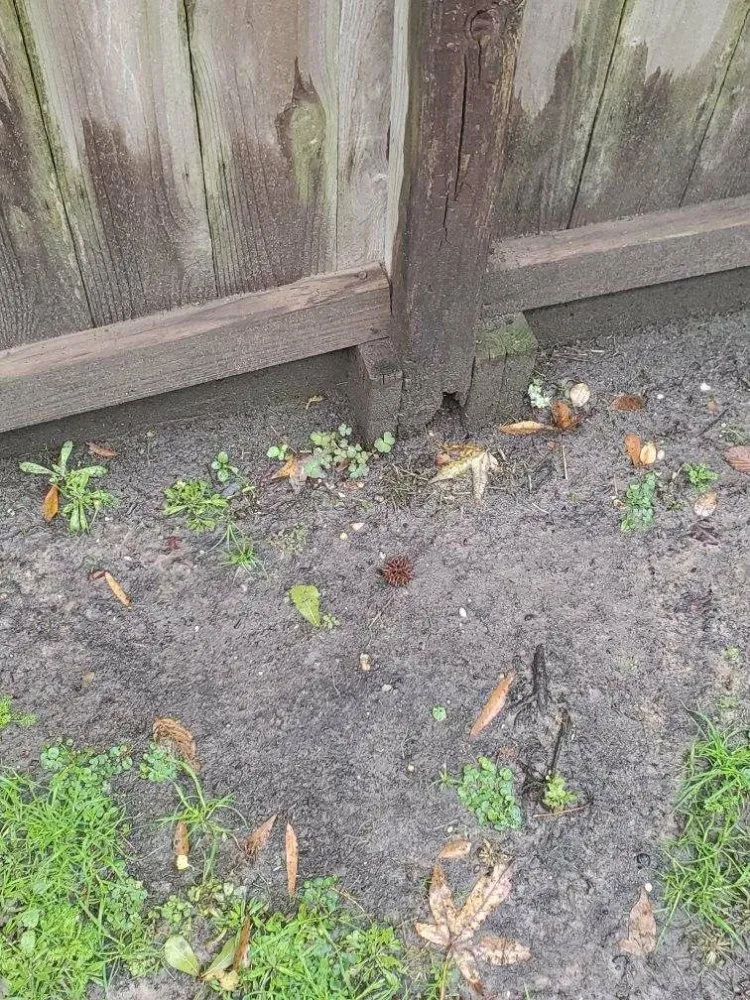 Trusted lawn mowing service in Liberty, TX by PePaw's Handyman Services and Remodeling