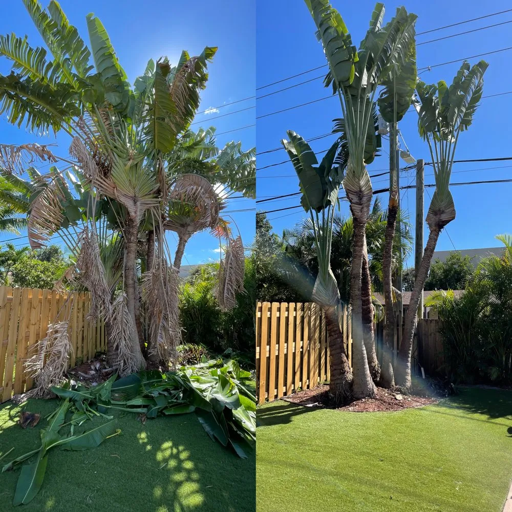 Reliable yard cleanup service in Lantana, FL - Pepe Brothers Tree Service