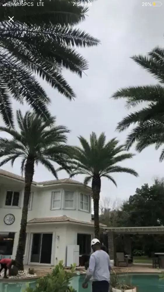 Expert landscape design for residential properties across Lantana, FL - Pepe Brothers Tree Service