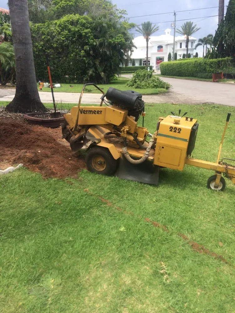 Professional yard cleanup service in Lantana, FL - Pepe Brothers Tree Service