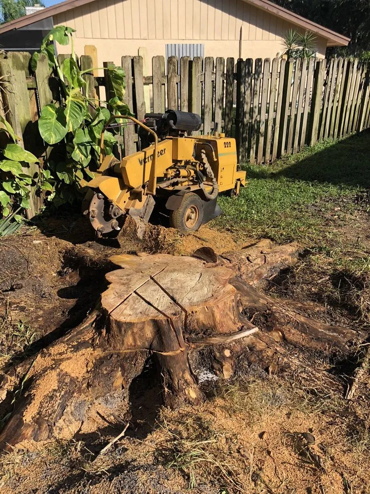 Reliable outdoor landscaping with custom design in Lantana, FL by Pepe Brothers Tree Service