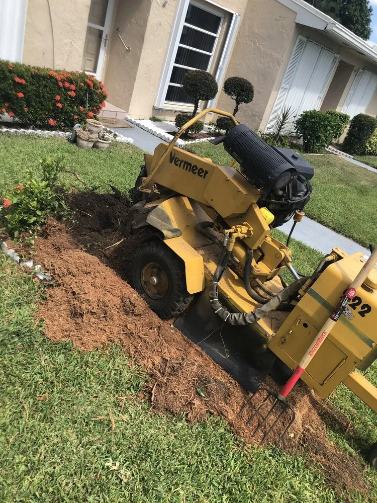 Reliable landscape installation for year-round maintenance in Lantana, FL by Pepe Brothers Tree Service