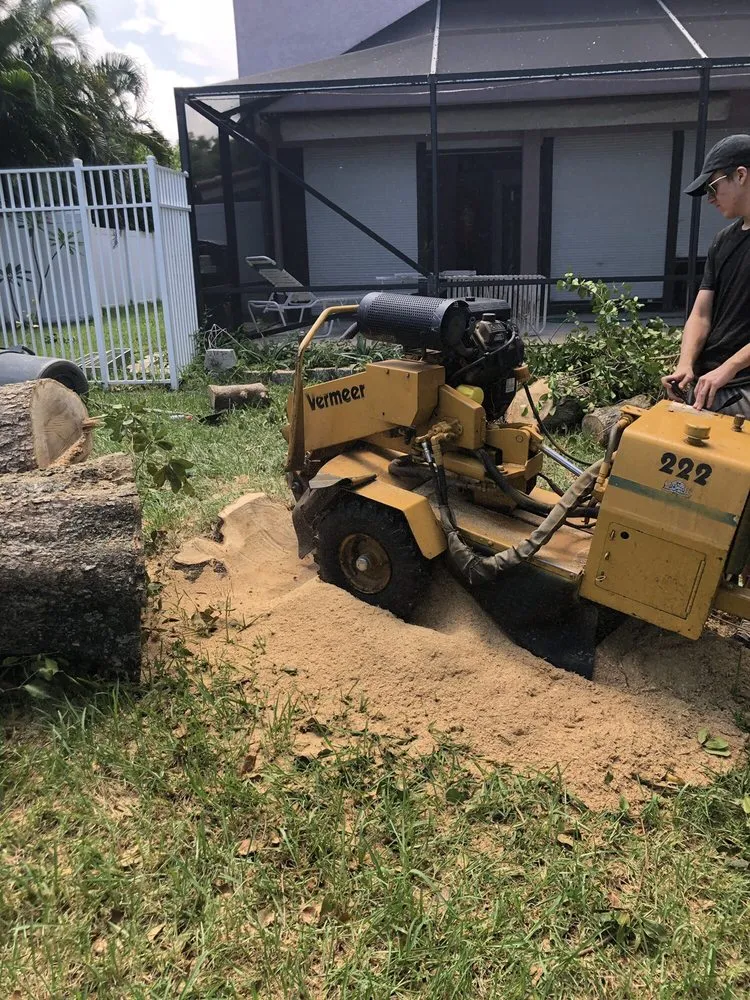 Expert residential landscaping in Lantana, FL by Pepe Brothers Tree Service