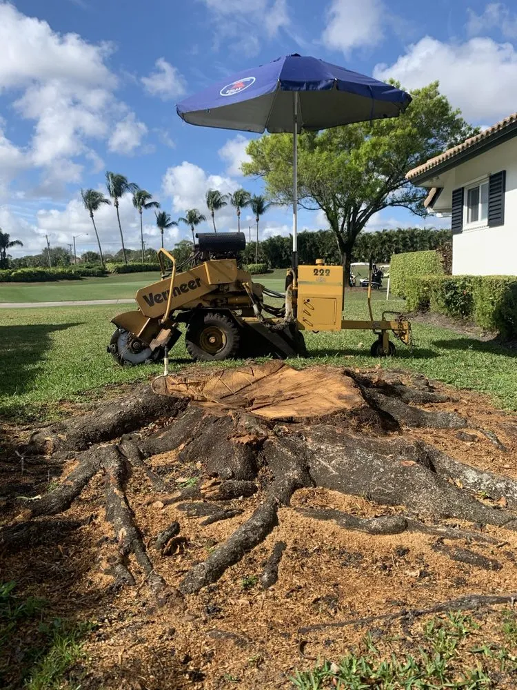 Expert residential landscaping in Lantana, FL - Pepe Brothers Tree Service