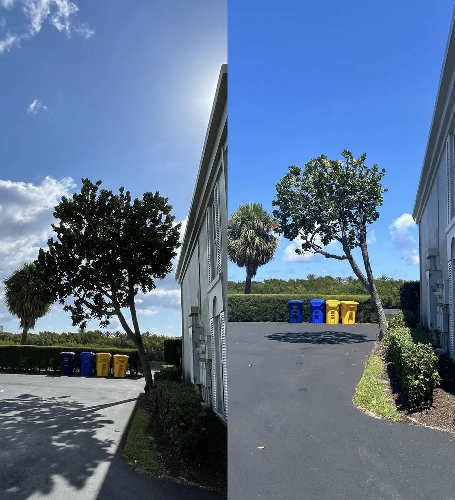 Trusted garden landscaping near you in Lantana, FL by Pepe Brothers Tree Service