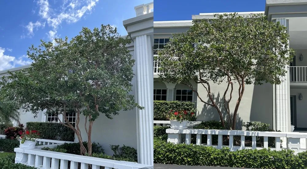 Custom garden landscaping for residential properties in Lantana, FL by Pepe Brothers Tree Service