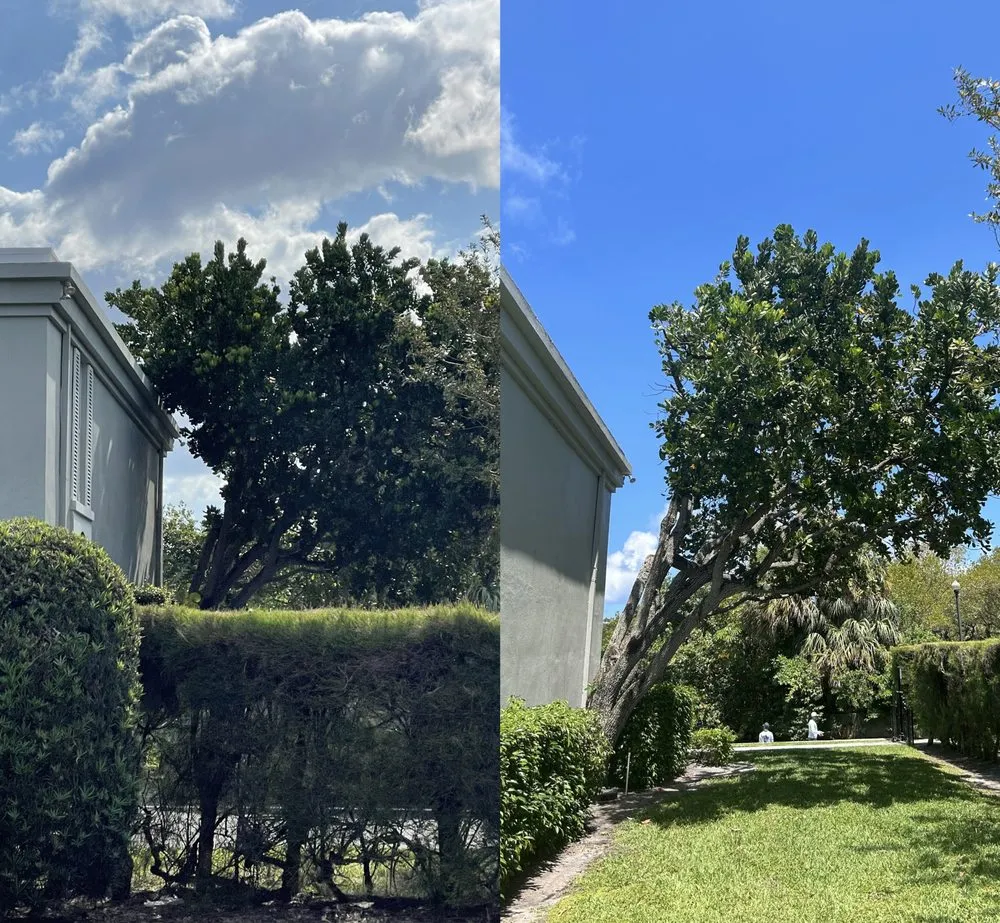 Top-rated lawn mowing service for residential properties in Lantana, FL by Pepe Brothers Tree Service