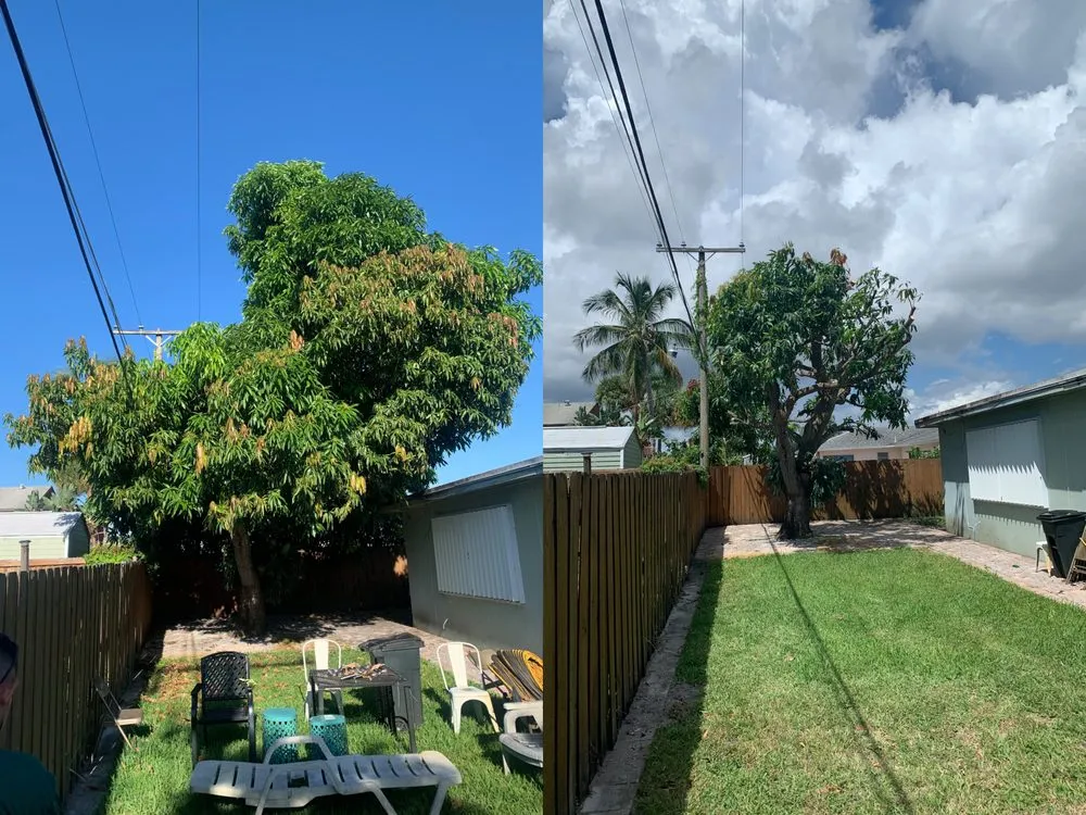 Top-rated yard maintenance for homes in Lantana, FL by Pepe Brothers Tree Service