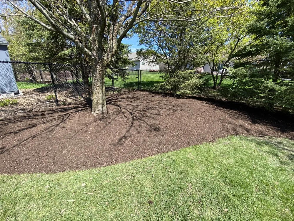 Professional yard maintenance experts serving Elgin, IL - Pepe's Lawn Maintenance