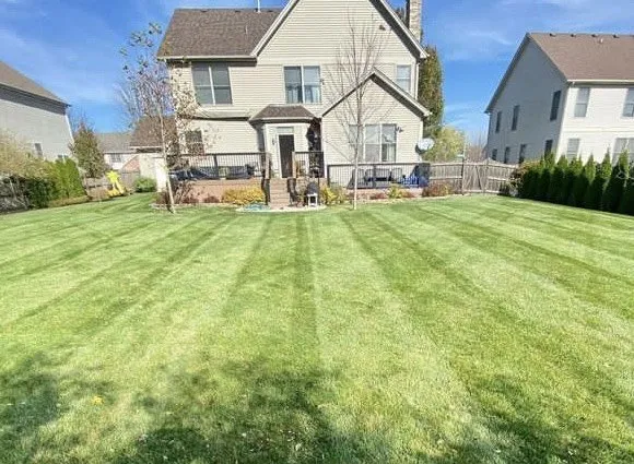 Top-rated yard cleanup service in Elgin, IL - Pepe's Lawn Maintenance