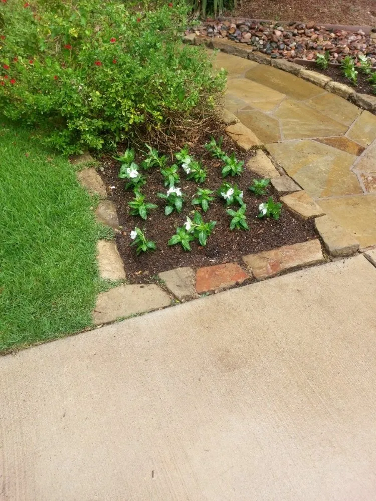 Reliable outdoor landscaping for year-round maintenance in Keene, TX by Pepe´s Lawn Service