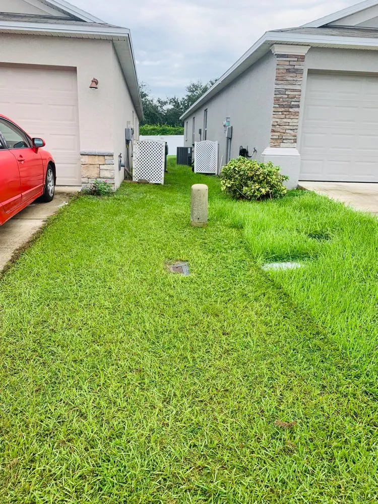 Local landscape design experts serving Auburndale, FL - Pepo’s Lawn service