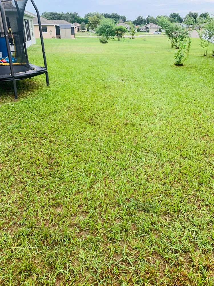 Local garden landscaping in Auburndale, FL - Pepo’s Lawn service