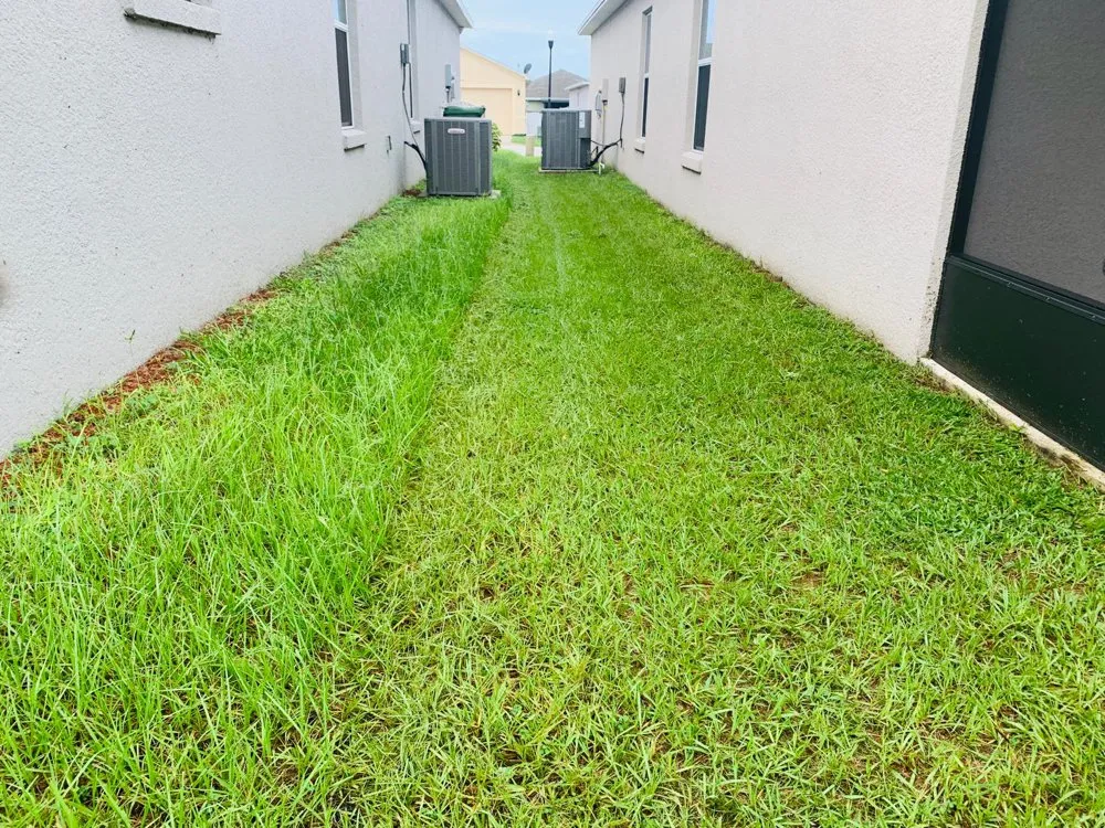 Reliable landscaping services with custom design across Auburndale, FL - Pepo’s Lawn service
