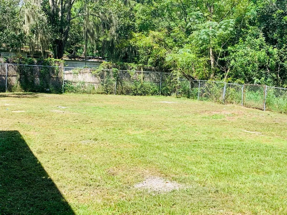 Local landscape design in Auburndale, FL by Pepo’s Lawn service