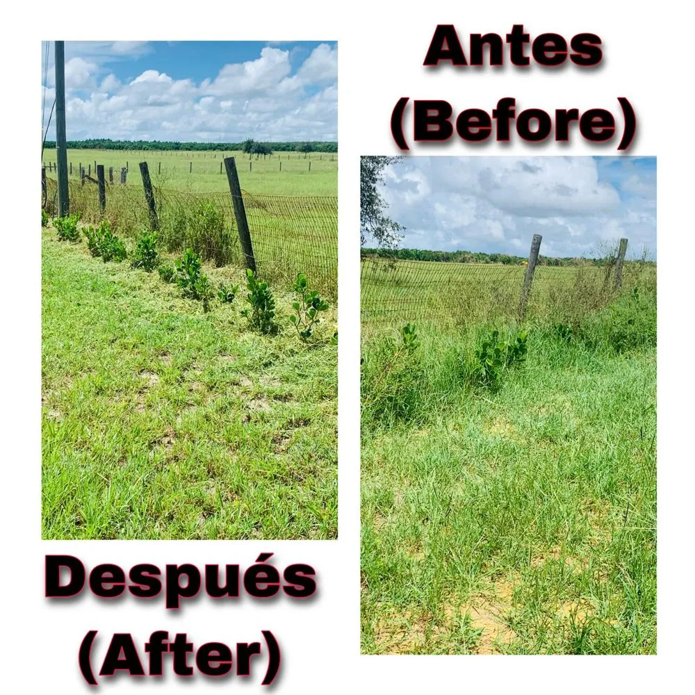 Affordable garden landscaping for year-round maintenance in Auburndale, FL by Pepo’s Lawn service