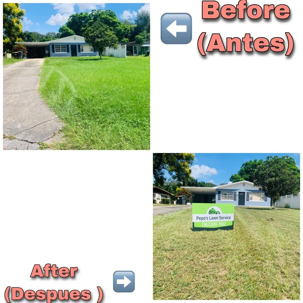 Custom landscaping services for homes across Auburndale, FL - Pepo’s Lawn service