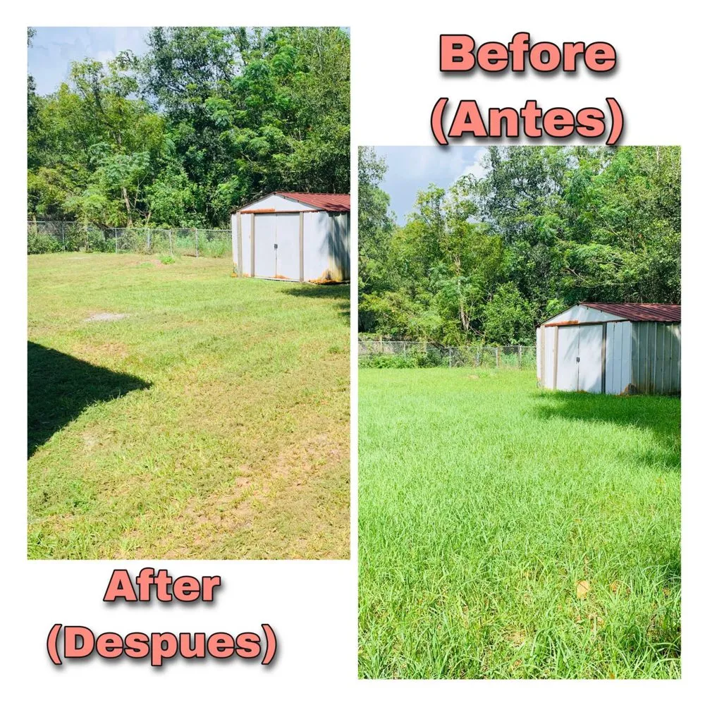 Professional landscape installation for homes in Auburndale, FL by Pepo’s Lawn service