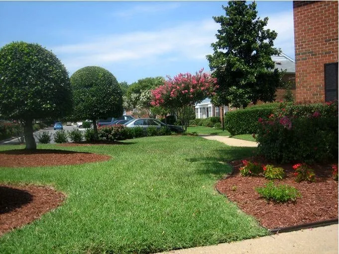 Custom lawn care service in Chesapeake, VA - Pepper &