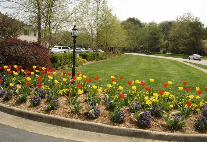 Reliable landscape design in Chesapeake, VA by Pepper &