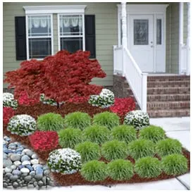 Top-rated lawn care service in Chesapeake, VA - Pepper &