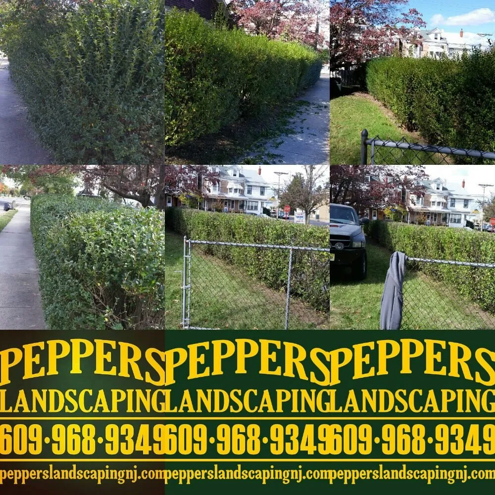 Trusted lawn care service in Trenton, NJ by Peppers Landscaping