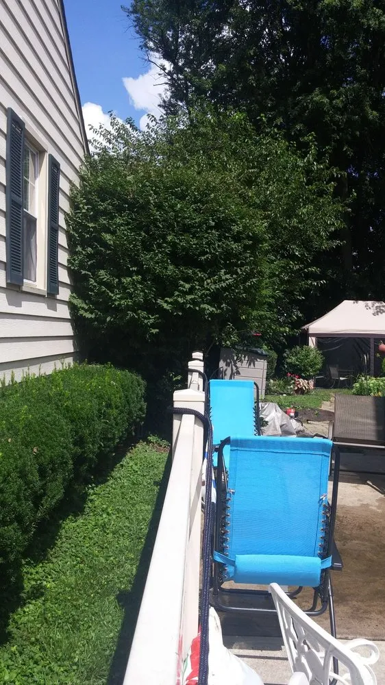 Reliable yard cleanup service in Trenton, NJ by Peppers Landscaping