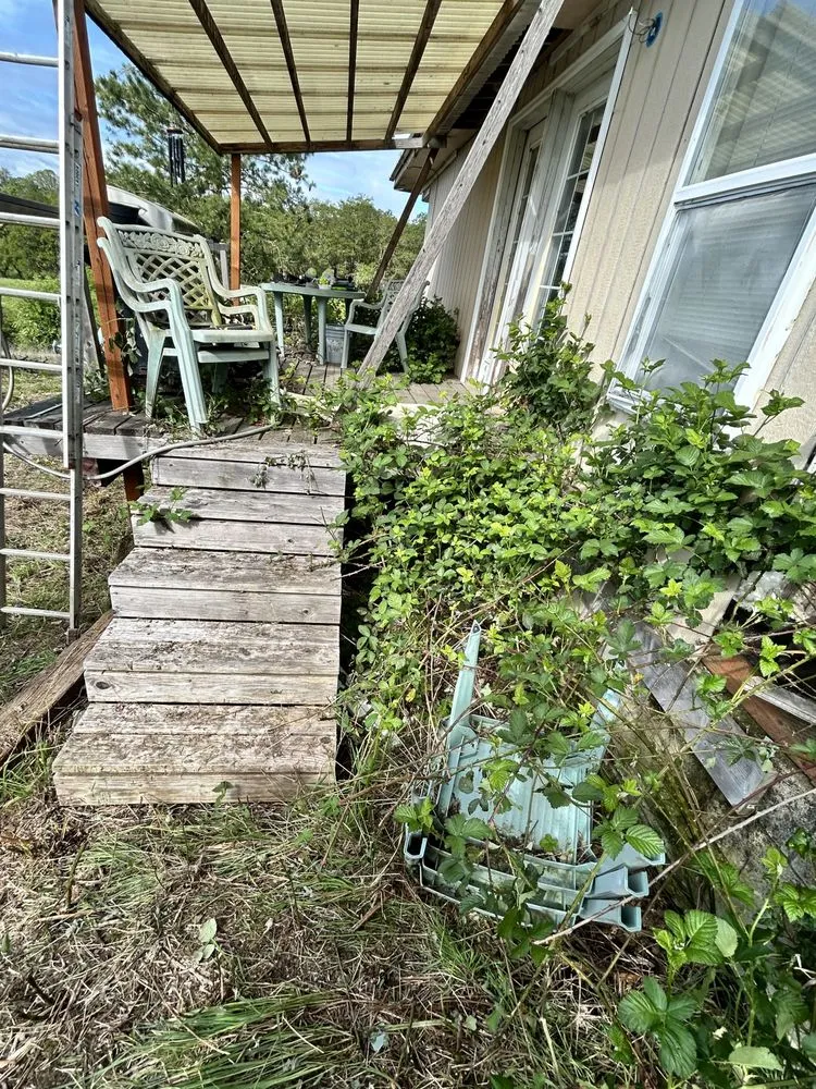 Expert yard cleanup service in Salem, OR by Peppers Yard Care And Clean Up