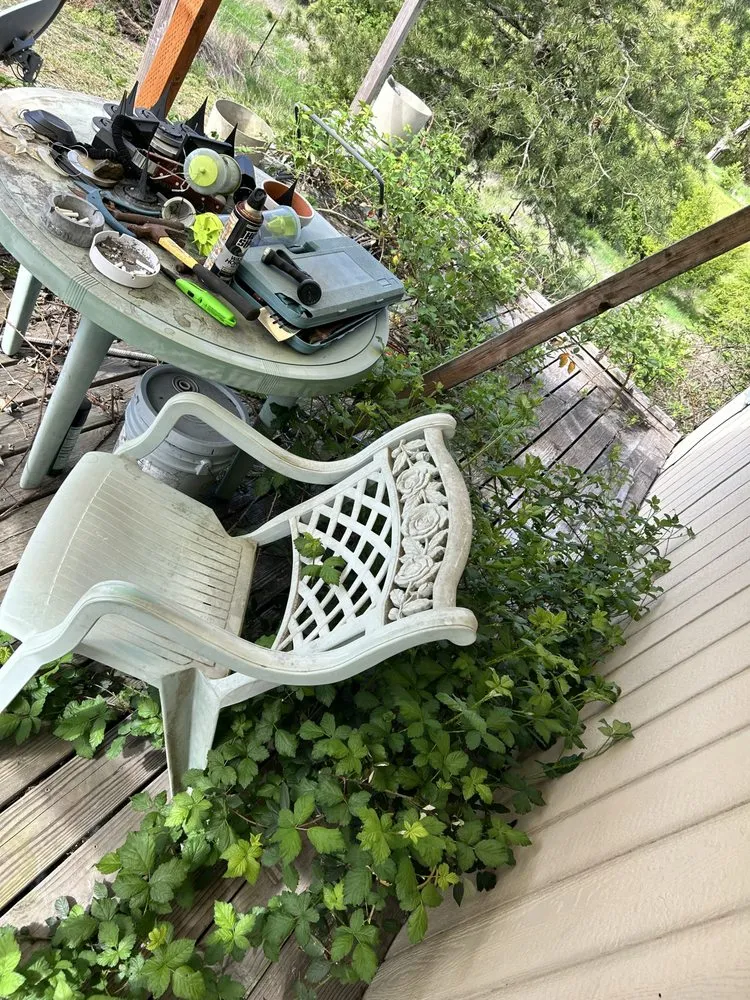 Professional outdoor landscaping for residential properties in Salem, OR by Peppers Yard Care And Clean Up