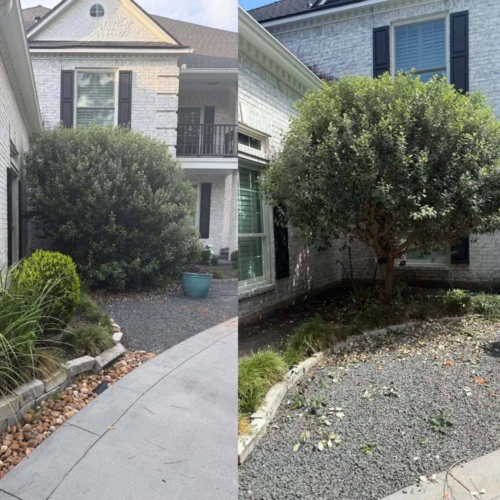 Expert yard maintenance for year-round maintenance in Spring, TX by Peppy's Landscape and Handyman