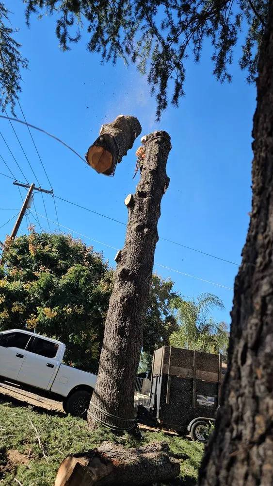 Expert residential landscaping in Fallbrook, CA by Pepsi's Landscaping