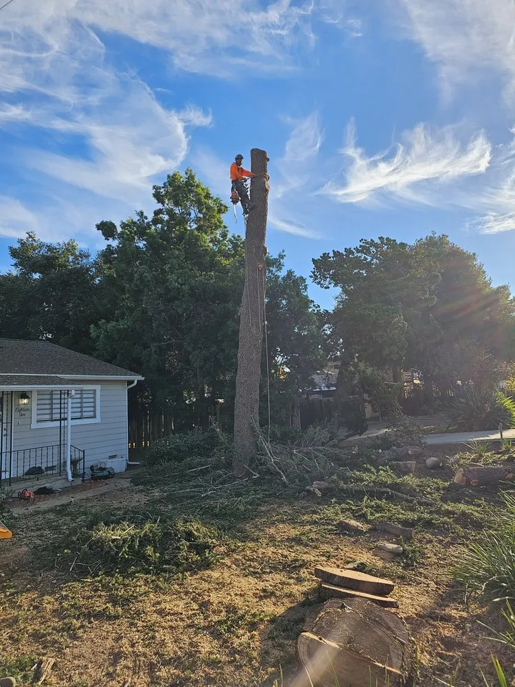 Custom landscaping services with custom design across Fallbrook, CA - Pepsi's Landscaping