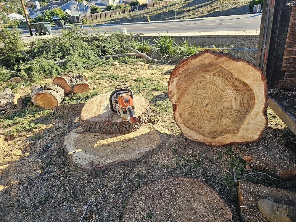 Expert garden landscaping for beautiful yards in Fallbrook, CA by Pepsi's Landscaping