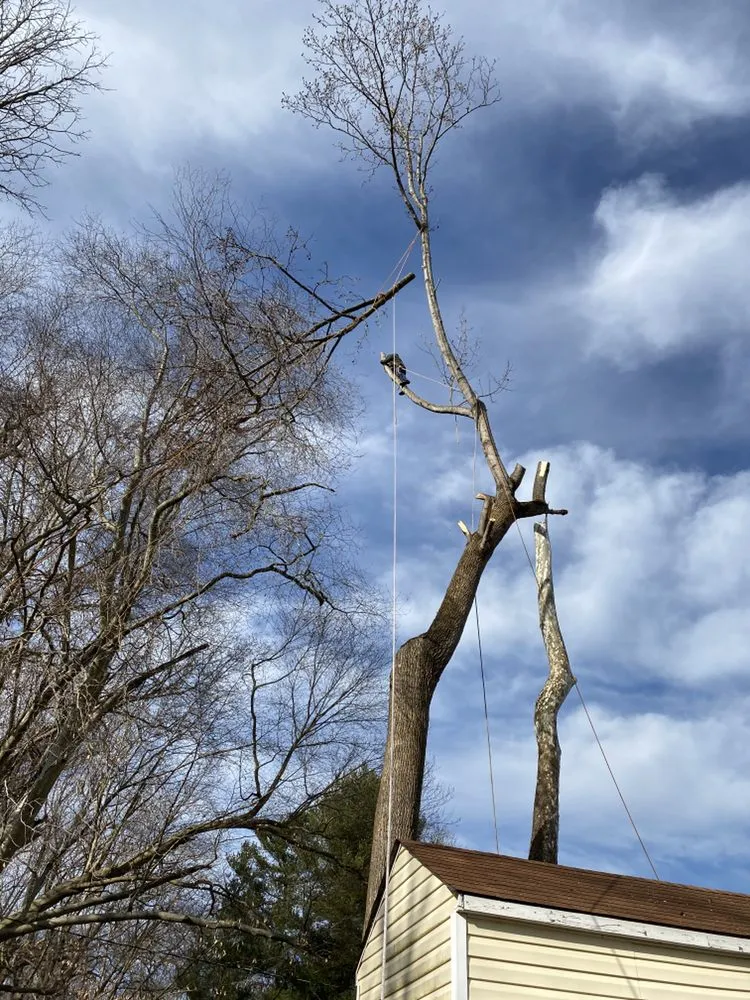 Trusted lawn care service for outdoor upgrades in Bowie, MD by Peral Landscaping