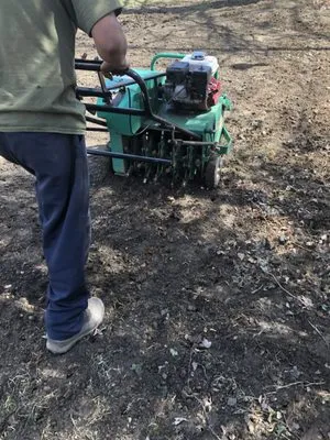 Peral Landscaping Logo