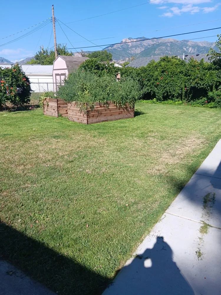 Top-rated lawn mowing service for homes in Roy, UT by Peralta Lawncare Services