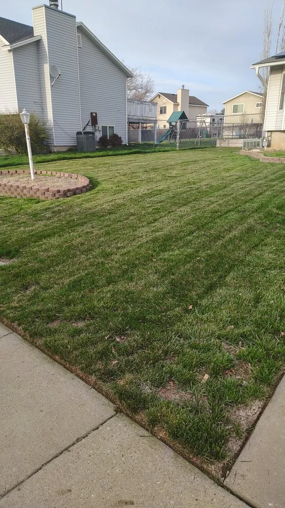 Affordable yard cleanup service in Roy, UT by Peralta Lawncare Services