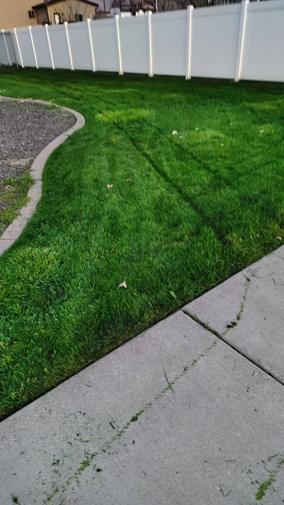 Expert yard cleanup service for beautiful yards in Roy, UT by Peralta Lawncare Services