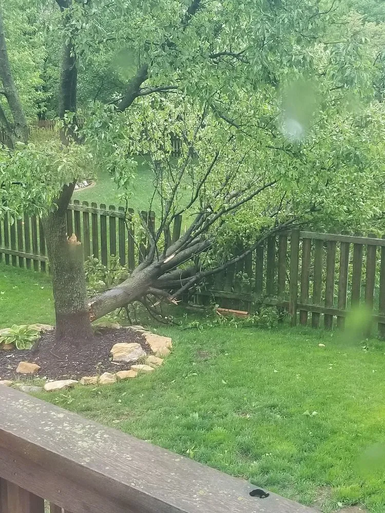 Expert yard maintenance in Kansas City, KS - Peralta Tree Service And Landscaping