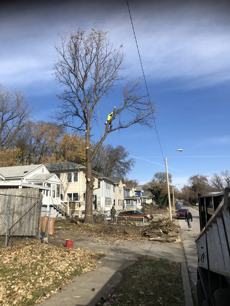 Trusted lawn mowing service with custom design across Kansas City, KS - Peralta Tree Service And Landscaping