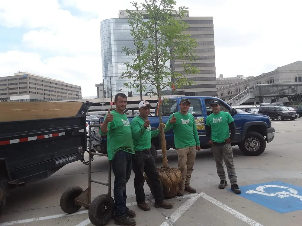 Top-rated lawn care service near you across Kansas City, KS - Peralta Tree Service And Landscaping